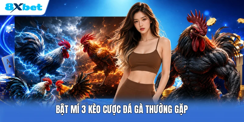 Bật mí 3 kèo cược đá gà thường gặp