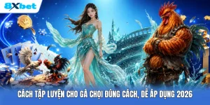 Cách Tập Luyện Cho Gà Chọi Đúng Cách, Dễ Áp Dụng 2026
