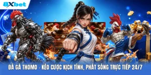 Đá Gà Thomo | Kèo Cược Kịch Tính, Phát Sóng Trực Tiếp 24/7