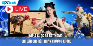 Nạp & Cược Đá Gà Thomo | Chỉ Dẫn Chi Tiết, Nhận Thưởng Khủng