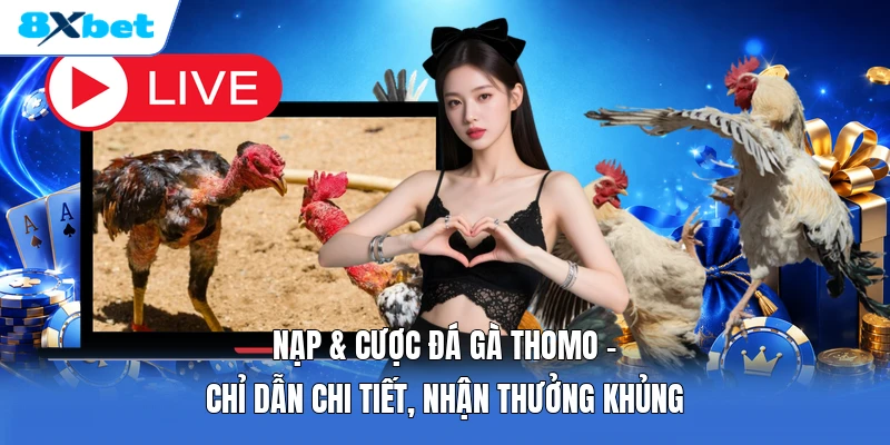 Nạp & Cược Đá Gà Thomo | Chỉ Dẫn Chi Tiết, Nhận Thưởng Khủng